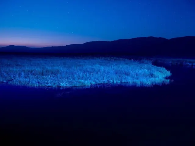 Night landscape with lit forest and mountain silhouettes, photographic, dark-mode, dark