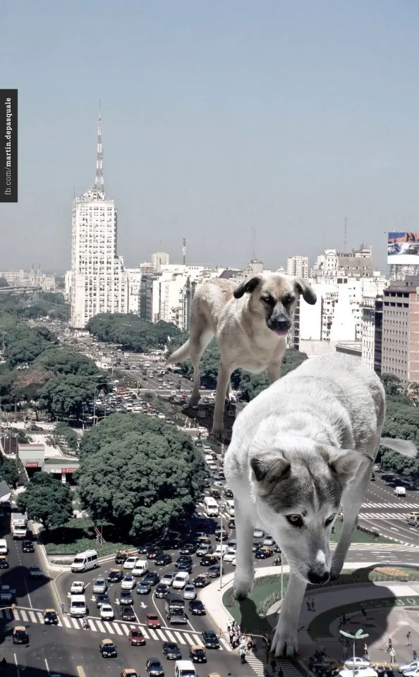 Giant dogs overlooking cityscape, photographic, surreal, light