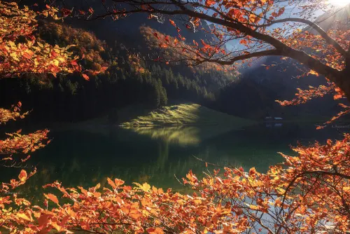 Autumn lake landscape with golden foliage, photographic, organic, warm