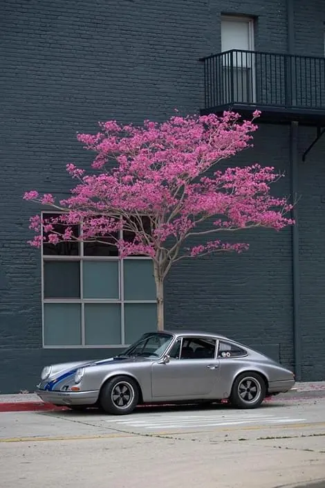 Vintage car with blooming tree, photographic, organic, vibrant