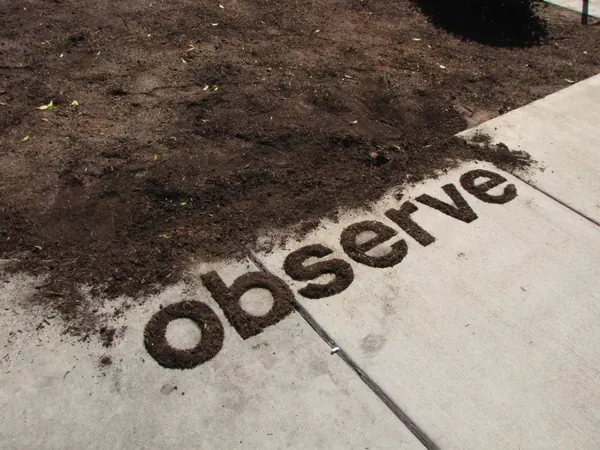 Concrete pavement observe typography, photographic, editorial, earthy
