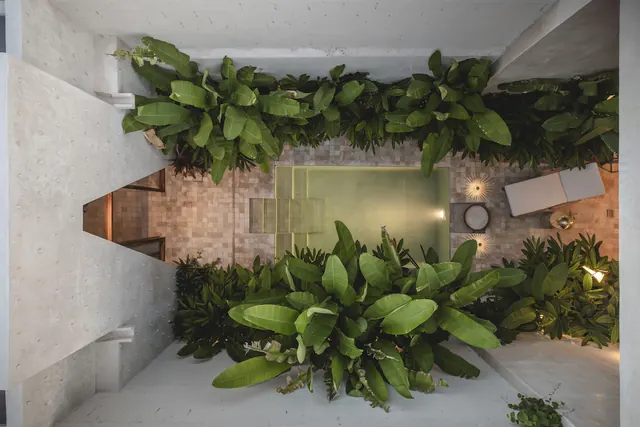Landscape Design Composition - rmGTZwo, minimal, editorial, muted