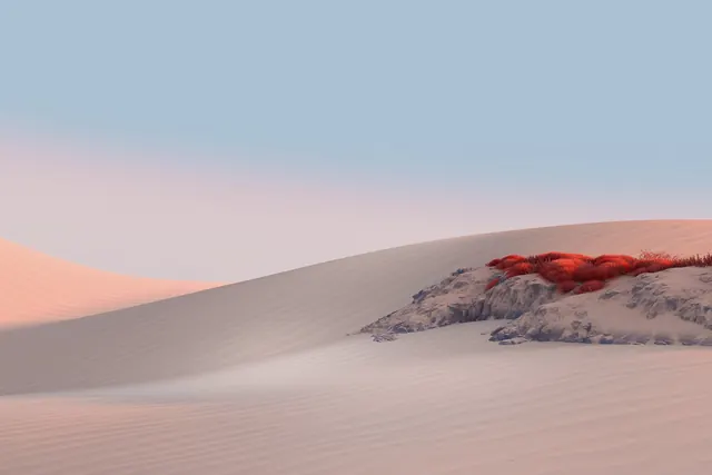 Rippled dune landscape with red shrubs, photographic, minimal, pastel