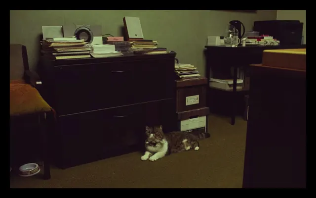 Marriage Story office cat film still, photographic, minimal, dark