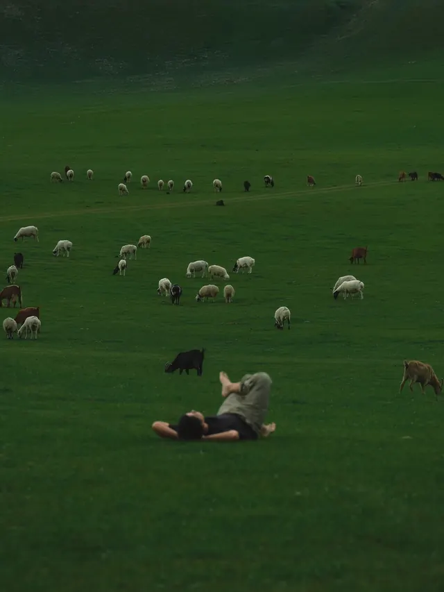 Pastoral meadow with grazing flock, photographic, organic, muted