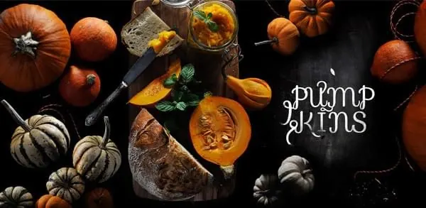 Pumpkin Harvest Composition