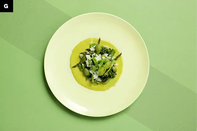 Food and color—bright green plated composition, photographic, vibrant, vibrant