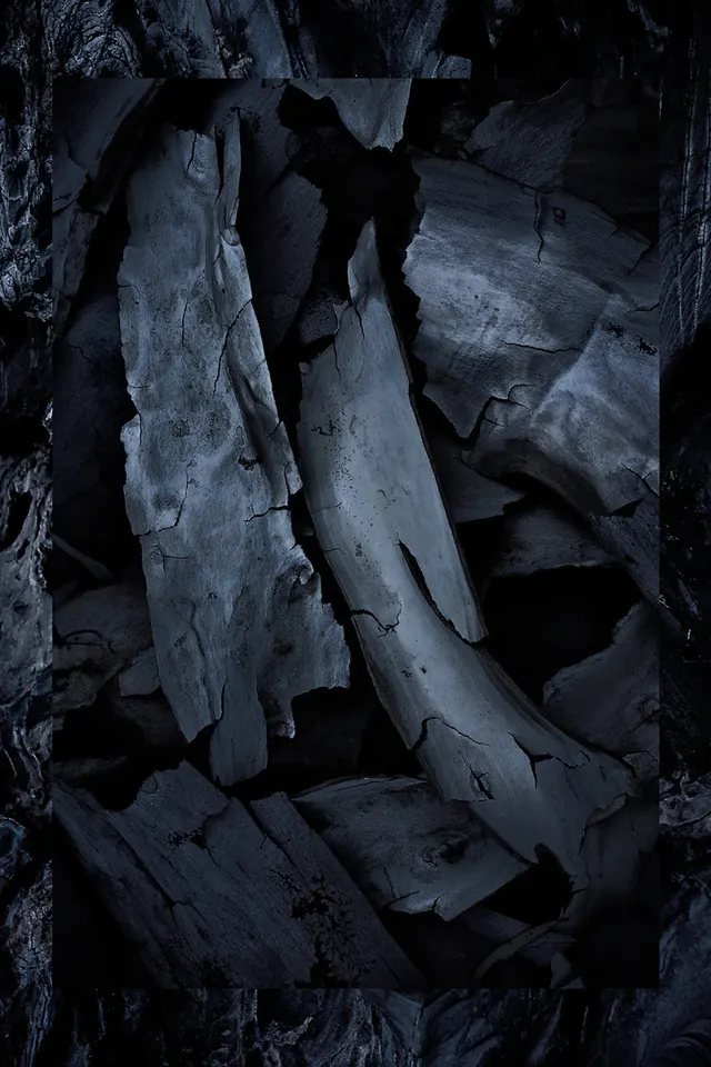 Weathered coal or charred wood texture study, abstract, photographic, monochrome