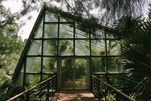 Modern glass greenhouse structure with grid windows, photographic, technical, cool