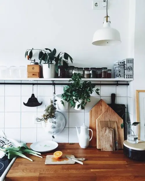 Kitchen open shelving with plants and styling, photographic, minimal, warm