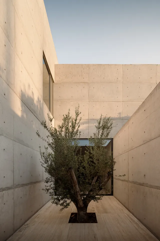Minimalist Architectural Courtyard