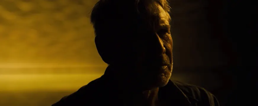 Cinematic Portrait in Shadow