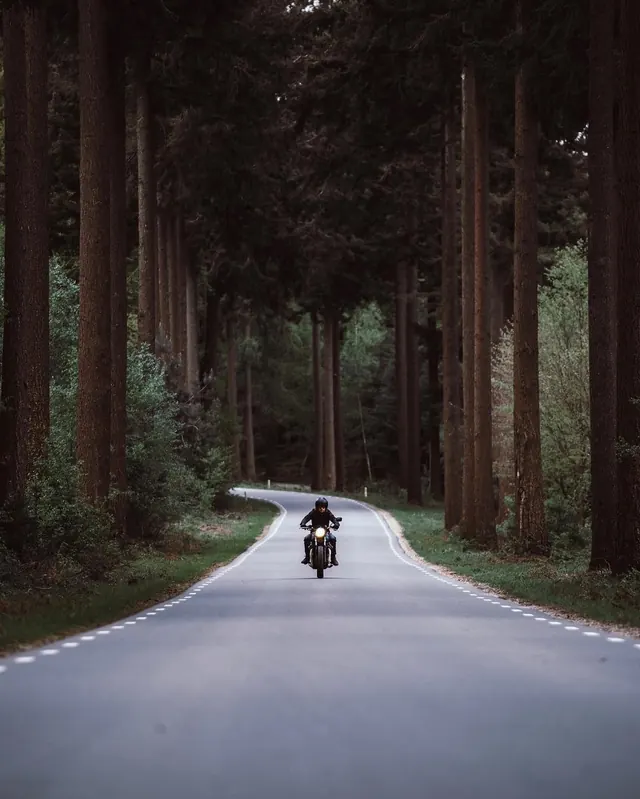 Motorcyclist in Forest Road