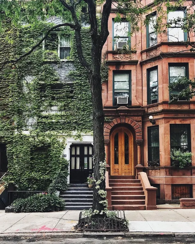 Ivy-covered brownstone façade, photographic, warm