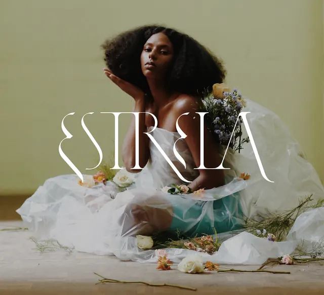 Sursia brand campaign with botanical styling, photographic, editorial, warm