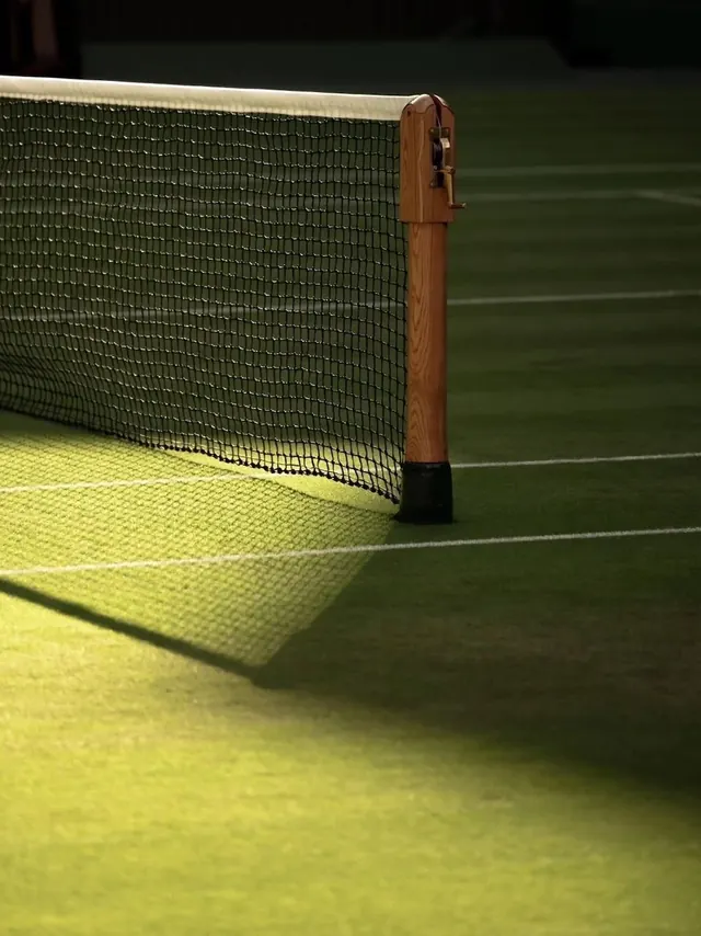 Tennis Court Net Detail