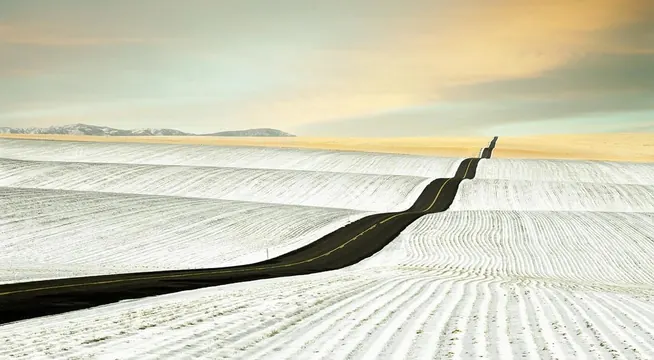Winding road through snowy fields, minimal, photographic, light