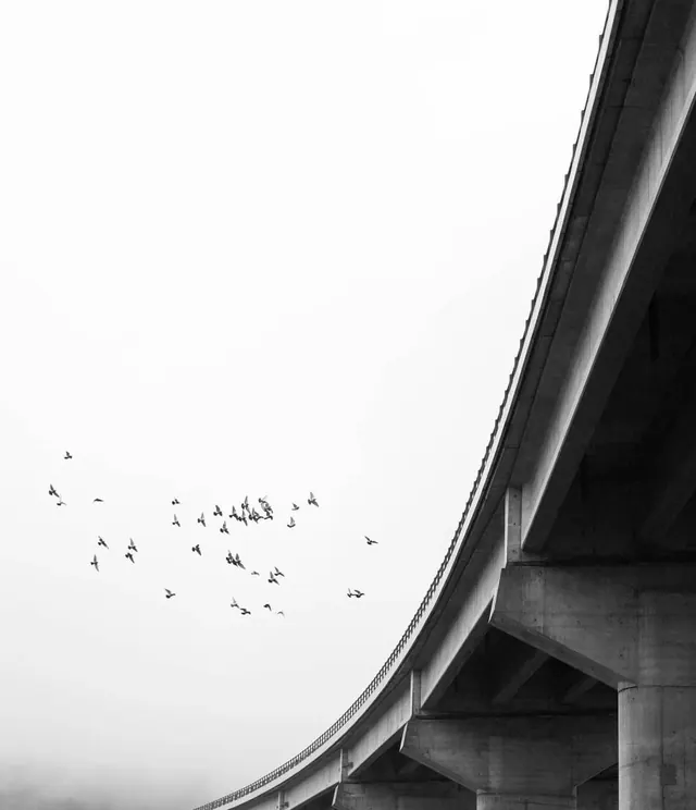 Brutalist highway architecture with birds, photographic, brutalist, light