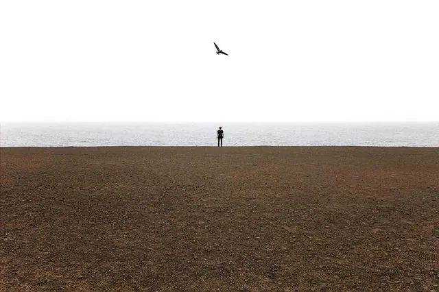 Minimalist figure on vast beach landscape, photographic, minimal, muted