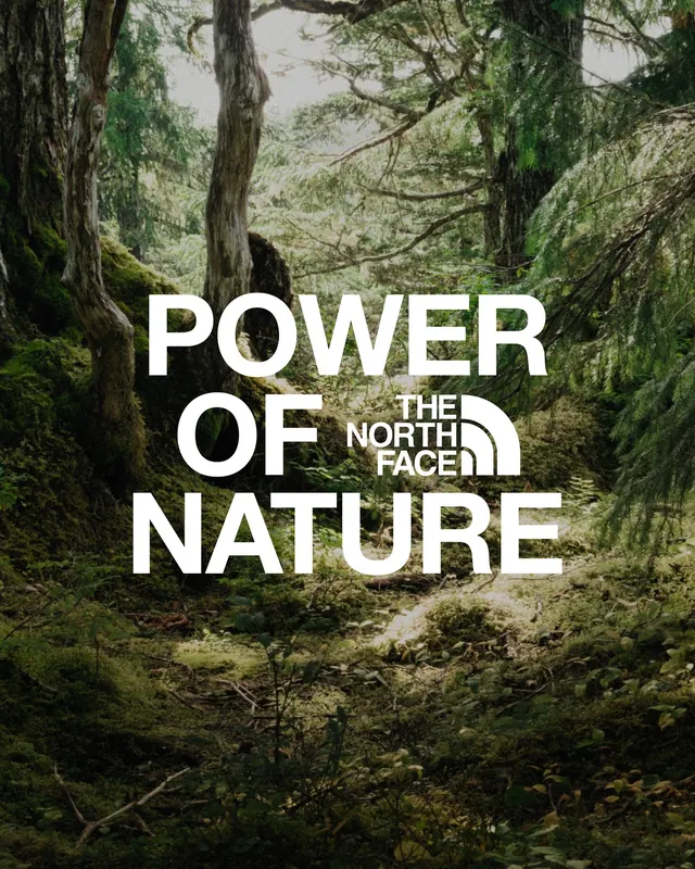Power of Nature" text over lush forest, photographic, minimal, dark
