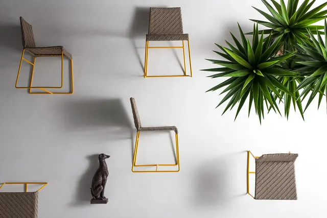 Minimalist furniture and plant arrangement, minimal, photographic, neutral