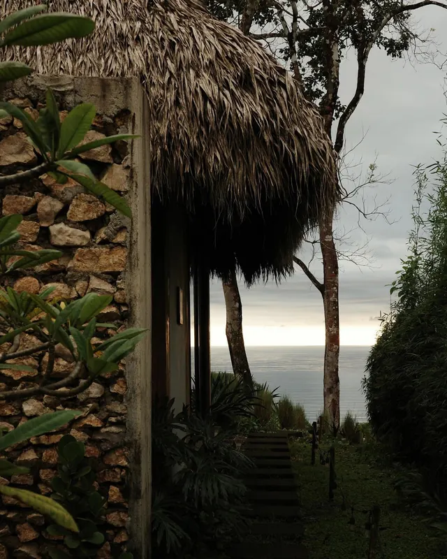 Tropical Palm Tree Garden Landscape Photography, photographic, organic, muted