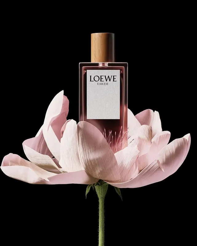Fragrance and Water Lily Composition, photographic, dark-mode, dark
