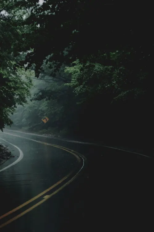 Curving Forest Road with Approaching Traffic, photographic, moody, dark