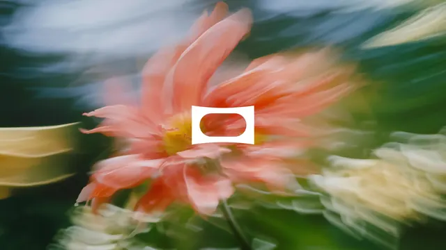 Coral flower with motion blur and geometric overlay, photographic, organic, warm