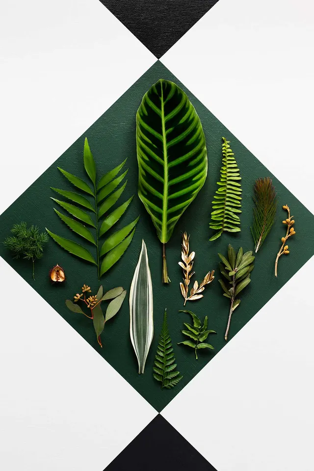 Interior Botanical Display with Pendant Lighting, photographic, minimal, warm