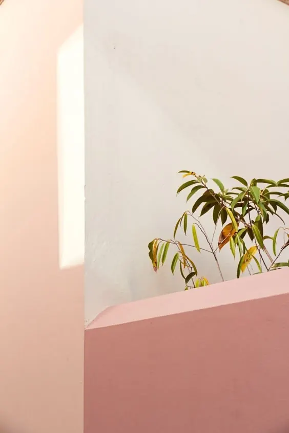 Warm-toned photographic diary aesthetic, photographic, warm, warm