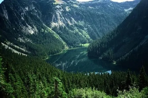 Alpine valley landscape with lake and forest, photographic, vibrant