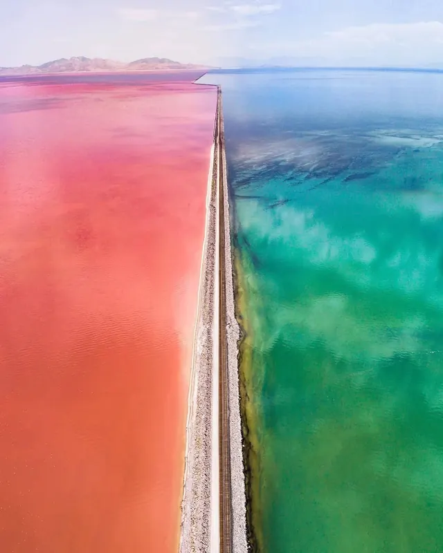 Savee y-vO_9w, photographic, vibrant