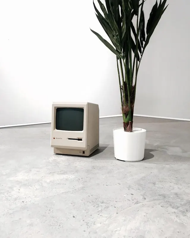 Vintage computer with potted plant in minimal gallery, photographic, minimal, light