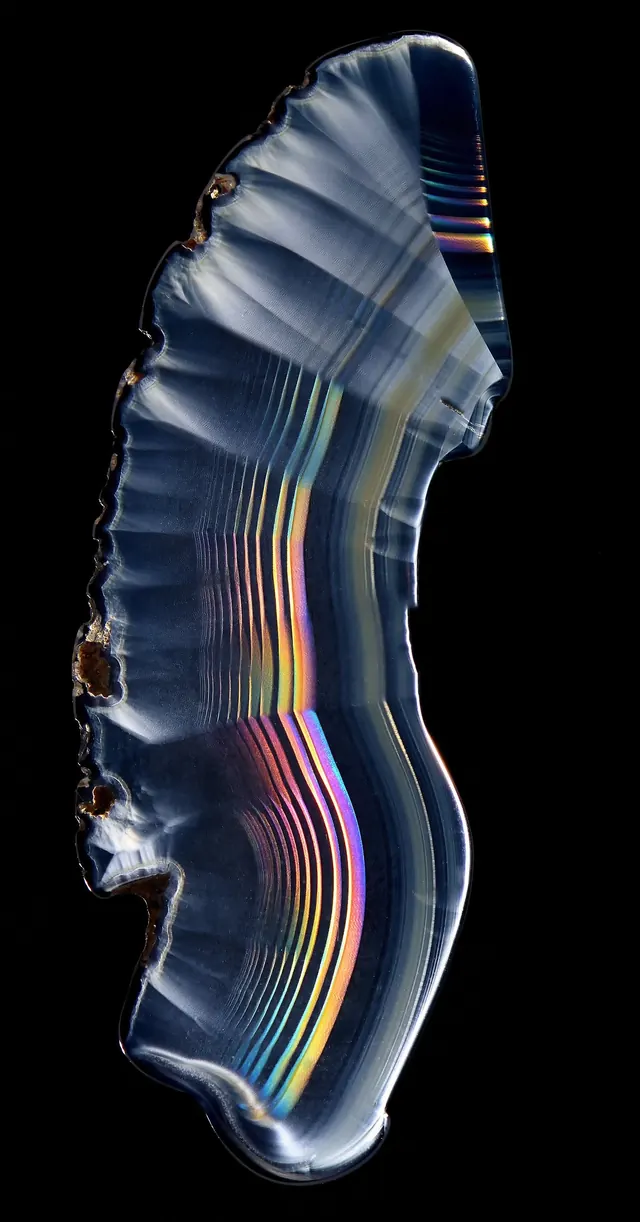 Iridescent shell structure with color spectrum, photographic, abstract, vibrant