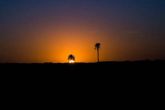 Sunset over desert landscape with palms, photographic, warm