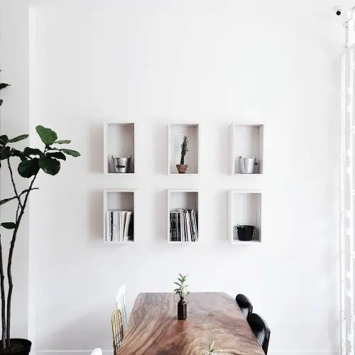 Minimalist shelving display with plants, minimal, light-mode, light