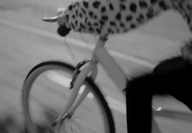 Bicycle lifestyle photography, photographic, minimalist, monochrome