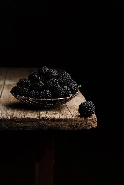 Dark still life of blackberries in metal bowl, photographic, dark-mode, dark