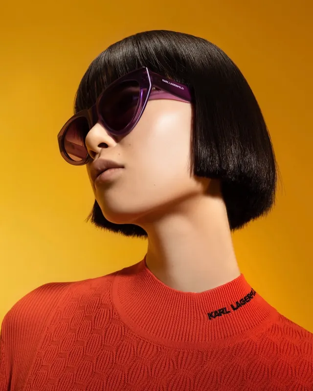 Karl Lagerfeld portrait with dark sunglasses, photographic, luxury, warm