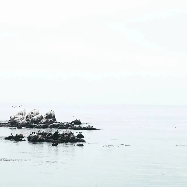 Seascape with rocky islands and birds, photographic, minimal, cool