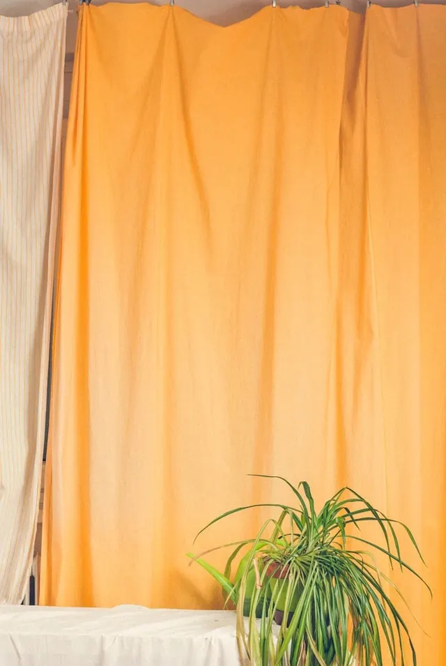 Hanging yellow-orange fabric with potted plant, photographic, organic, warm
