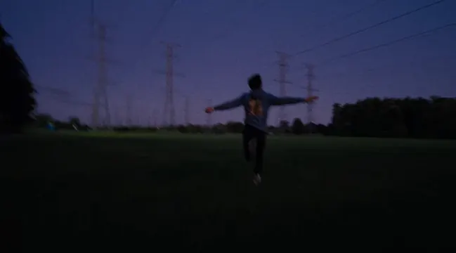 Figure in field at dusk with power lines, photographic, dark-mode, dark