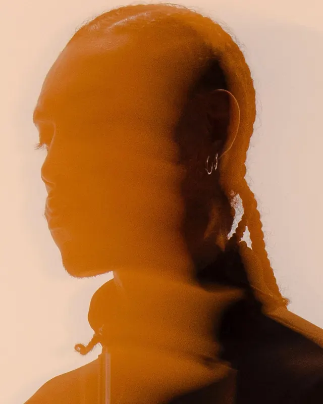 Warm-toned portrait silhouette, photographic, artistic, warm