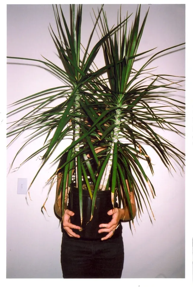 Figure obscured by plant, photographic, conceptual, light