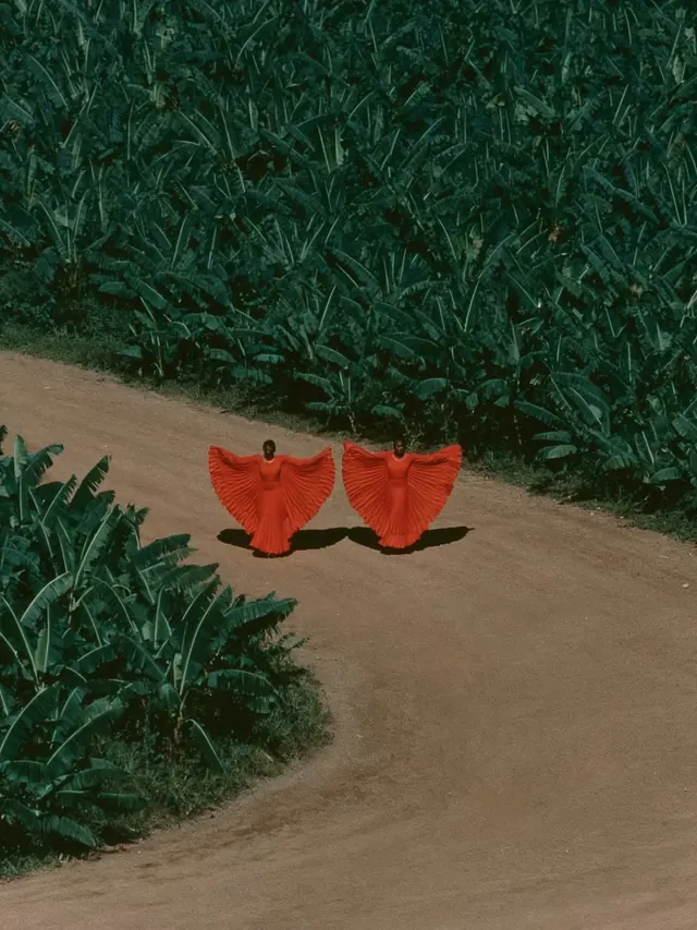 Red fabric wings on earth path, photographic, conceptual, warm