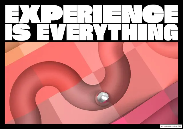 Experience Is Everything poster