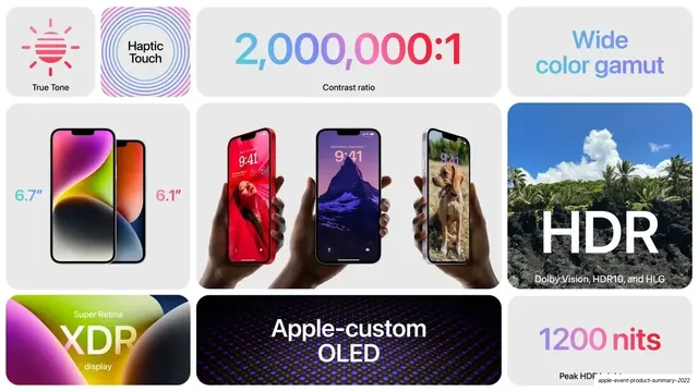 iPhone 14 display feature bento (light), light-mode, data-dense, light