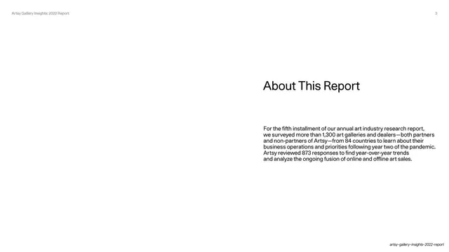 About This Report