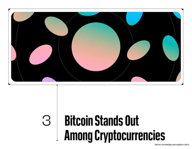 Section divider 3, bitcoin stands out, dark-mode, editorial, dark